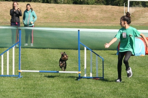 Киноложка изложба THE DOG SHOW – Първомай 2019